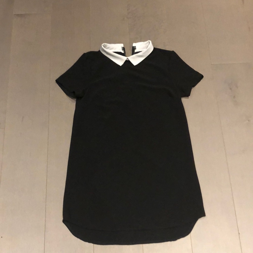 White collared zipper back mini dress